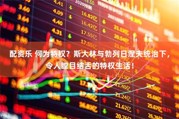 配资乐 何为特权？斯大林与勃列日涅夫统治下，令人瞠目结舌的特权生活！