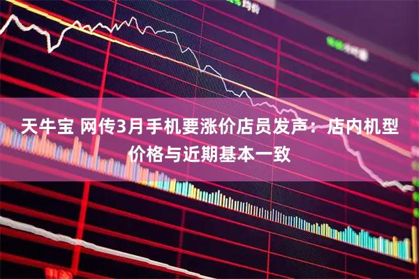 天牛宝 网传3月手机要涨价店员发声：店内机型价格与近期基本一致