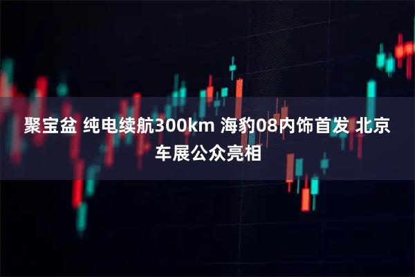 聚宝盆 纯电续航300km 海豹08内饰首发 北京车展公众亮相