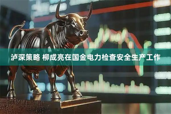 泸深策略 柳成亮在国金电力检查安全生产工作