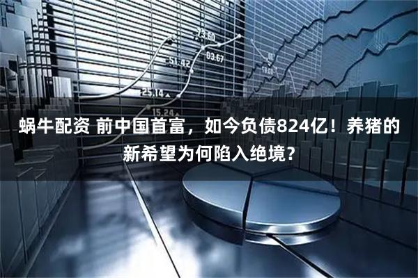 蜗牛配资 前中国首富，如今负债824亿！养猪的新希望为何陷入绝境？