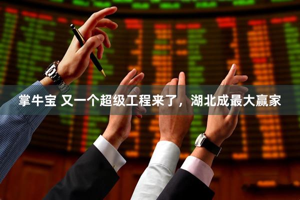 掌牛宝 又一个超级工程来了，湖北成最大赢家