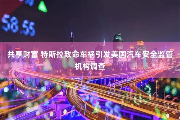共享财富 特斯拉致命车祸引发美国汽车安全监管机构调查