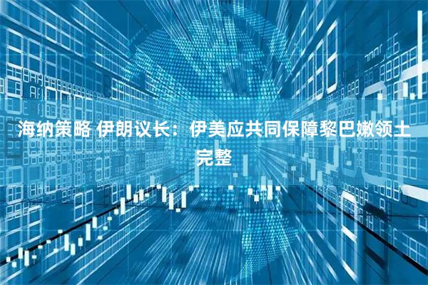 海纳策略 伊朗议长：伊美应共同保障黎巴嫩领土完整