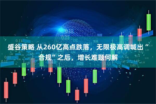 盛谷策略 从260亿高点跌落，无限极高调喊出“合规”之后，增长难题何解