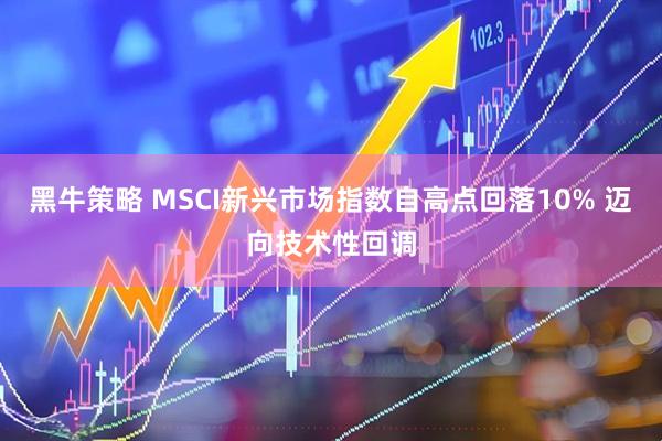 黑牛策略 MSCI新兴市场指数自高点回落10% 迈向技术性回调