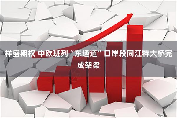 祥盛期权 中欧班列“东通道”口岸段同江特大桥完成架梁