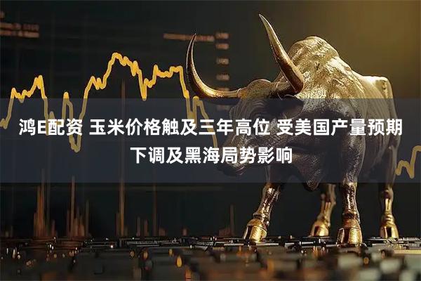 鸿E配资 玉米价格触及三年高位 受美国产量预期下调及黑海局势影响